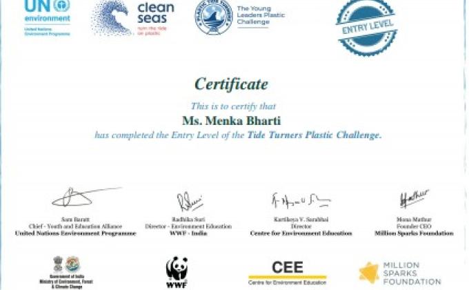 Plastic Tide Turners Challenge