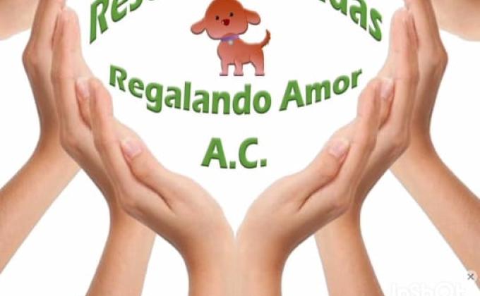 Dejando huella