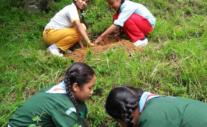 Prerana Scouts Afforestation Programme At Santaneswor,Godavari Municipality Lalitpur .