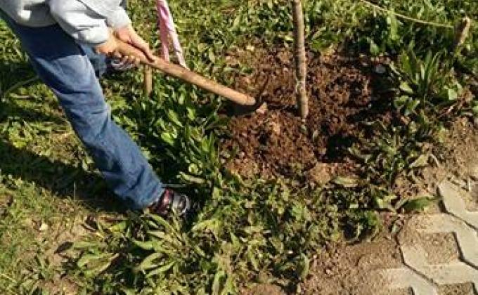 CAP : activity 05 / 10 : " PLANT"