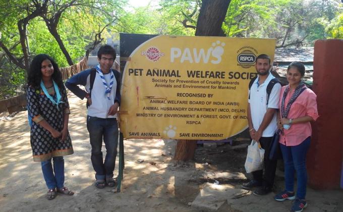 Visit to a Dog Shelter Home