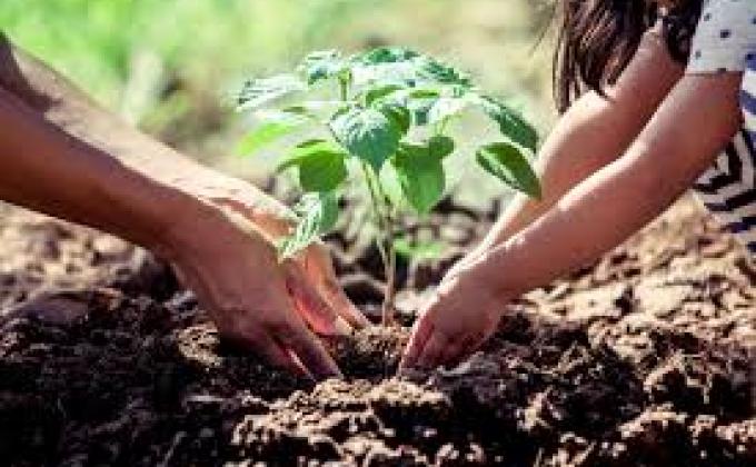 CLIMATE CHANGE : START THE CHANGE
