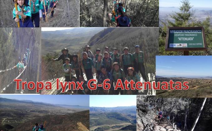 RETO 8 JOTA JOTI