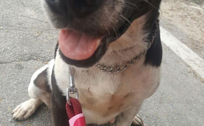 Aaron's Good Deeds at fav volunteering place