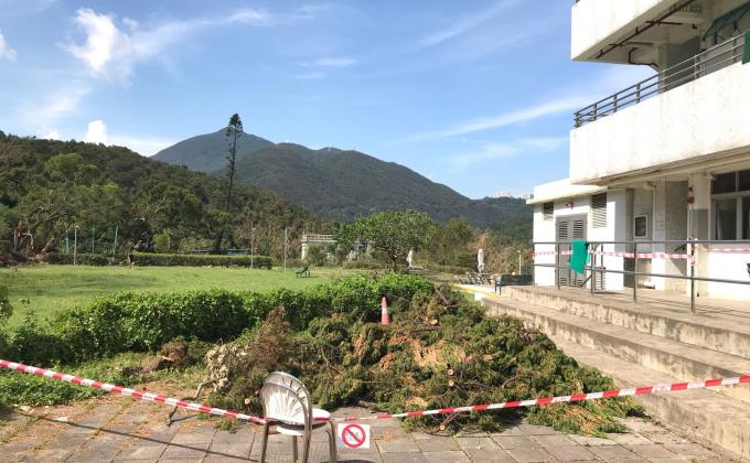 Clean up of Tai Tam Scout Center