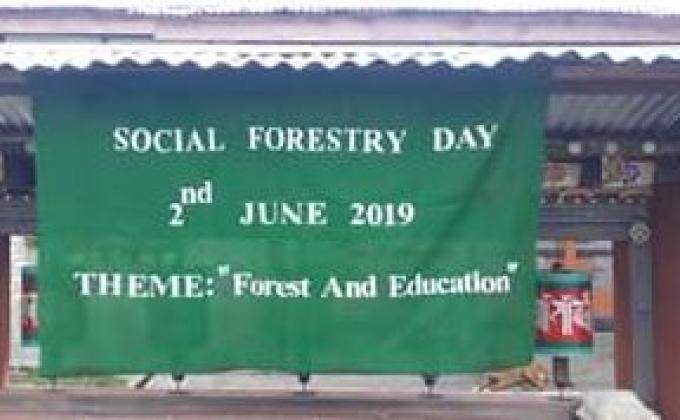 Social Forestry Day