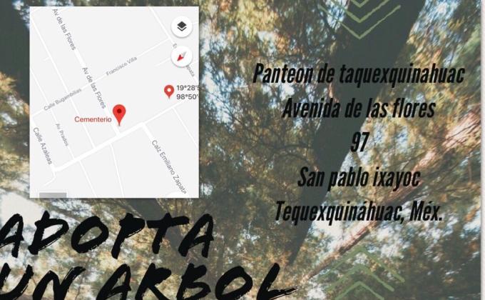 ADOPTA UN ARBOL