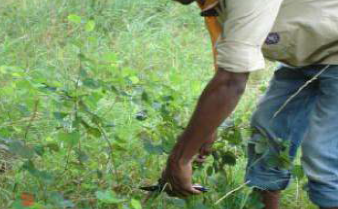 Biodiversity for Life