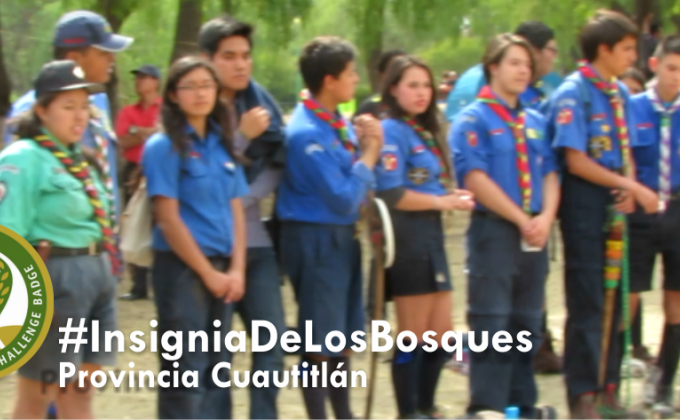 Insignia de los bosques | Comunidad de caminantes 