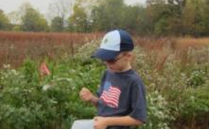 Gathering Native Wildflower Seeds with the DNR