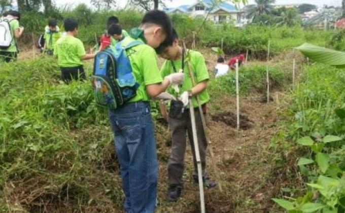 CKSC Scouts joins Tree Planting