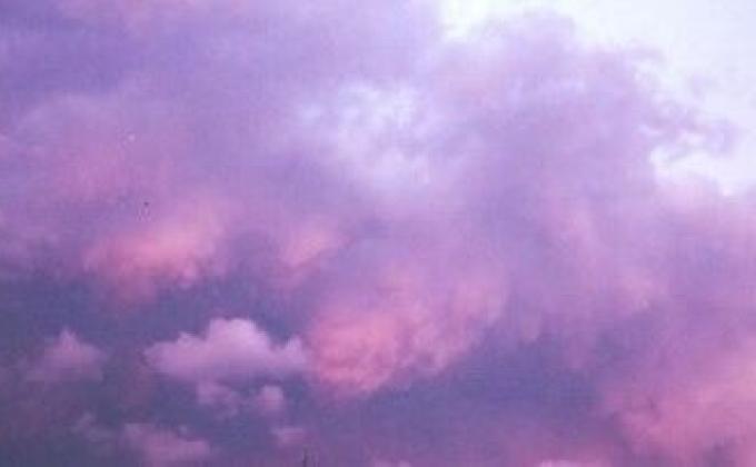 LITTERING... WHY DOES IT MATTER? 