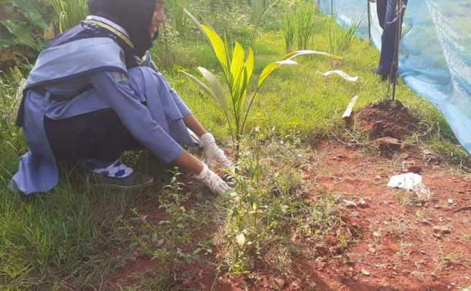 বৃক্ষরোপণ কর্মসূচি। 
