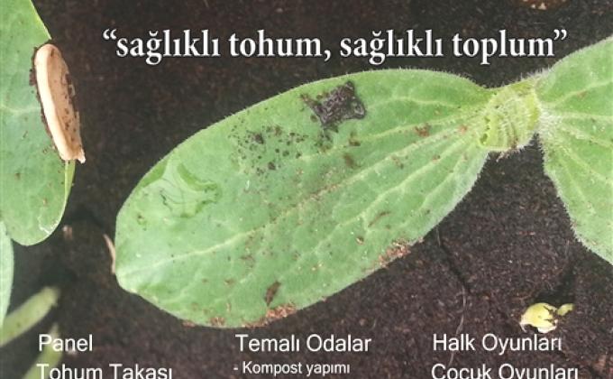 participation to a seed exchange day with an international idea 