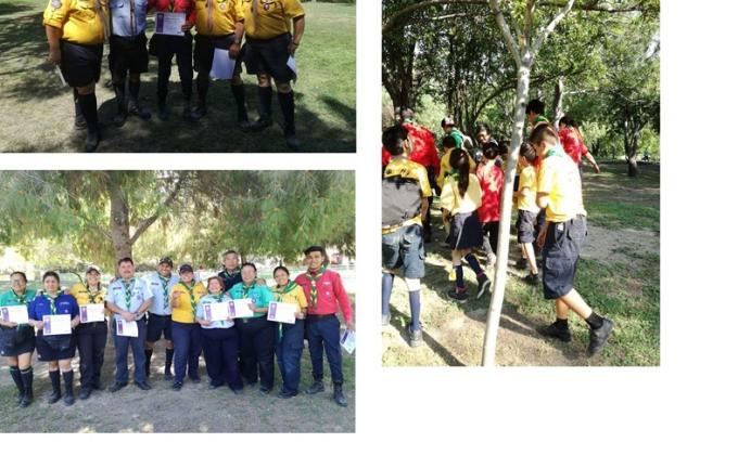 SERVICIO PARA MEJORAR ACTIVIDADES DE MANADA