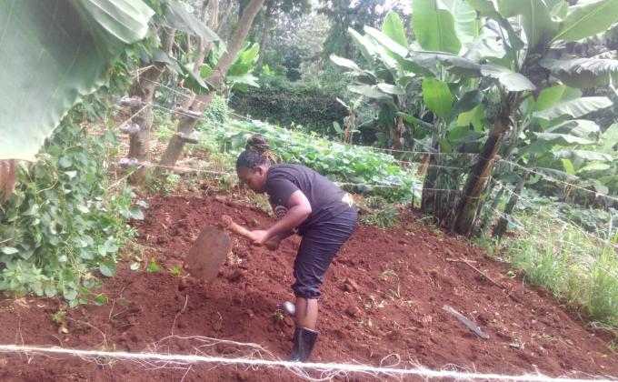 FOOD FOR LIFE  PROJECT PHASE 1-KENYA