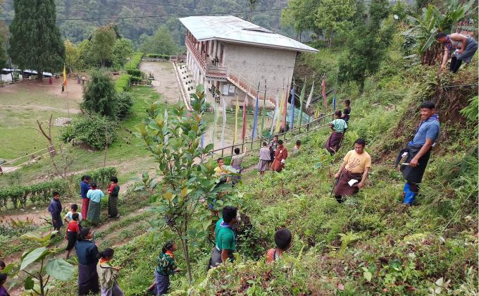 Clearing for cardamom plantation in Beteni primary school