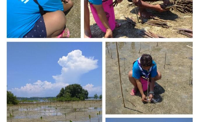 Mangrove Tree Planting of Brighton and Roosevelt College, Philippines 