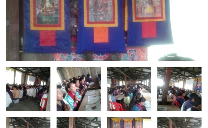 Prayer for the Sentient Beings