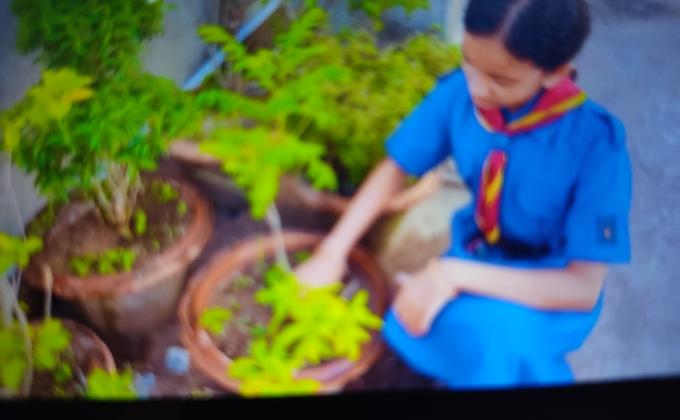 plantation to celebrate world environment day. 