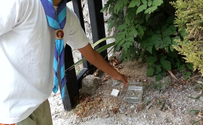 July the 08th, 2014 - What can I do, Today ?