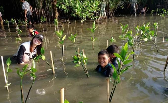 mangrove planting