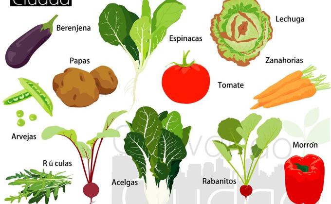 estuve investigando sobre que temporada es la mejor para cultivar ciertos vegetales y Hortalizas. 