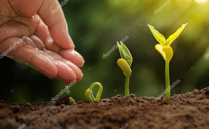 Save Forest Save Life