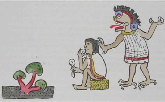  “Fungí cultura en la Nopalera”