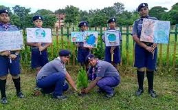 Tree plantation programme