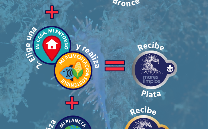 Reto Mares Limpos Bronce