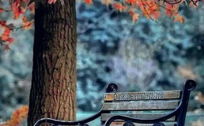 ସେବା ହିଁ ଭଗବାନ