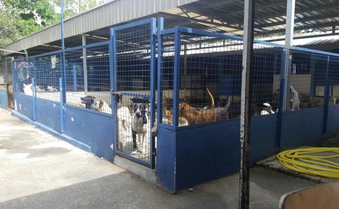 Aaron's Good Deeds at fav volunteering place