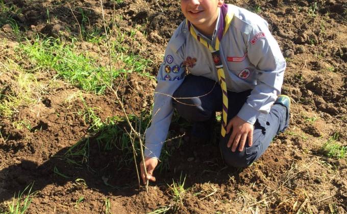 CAP '19 CCC : activity 05 / 10 : " PLANT "