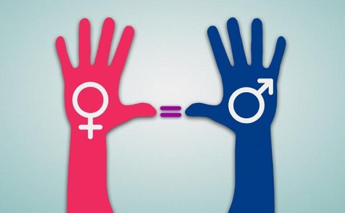 PROYECTO PARA LA INSIGNIA DE "DESAROLLO COMUNITARIO"  