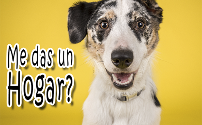 Diseño de arte para campañas gráficas.