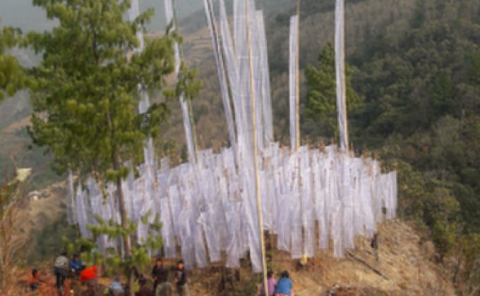 Hosting Thousand Flags