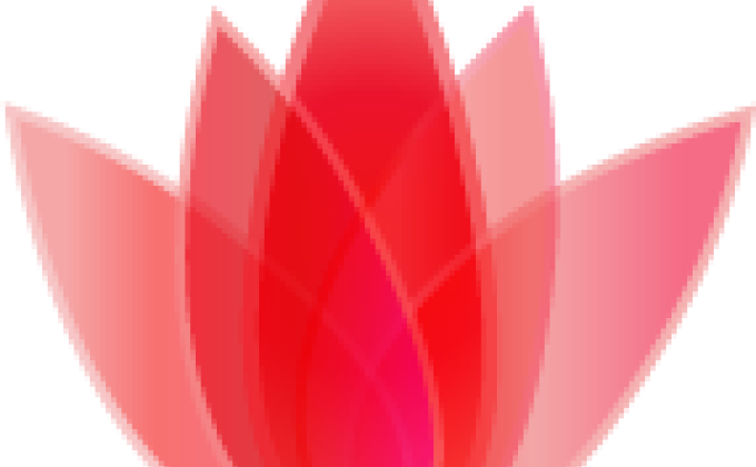 Proyecto Flor Roja