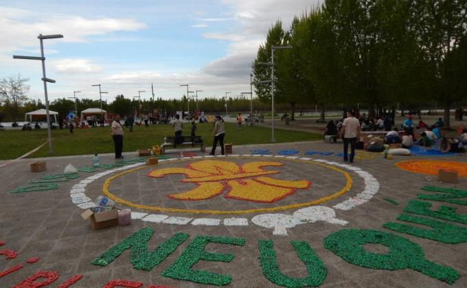 Flor de Lis Solidaria Distrito 3 Zona 37