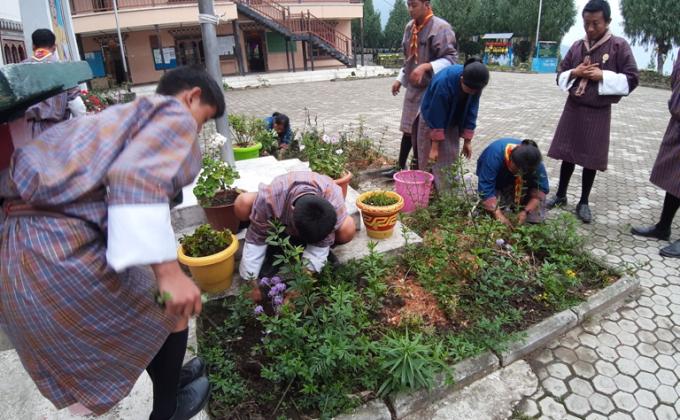 Flower garden by scouts