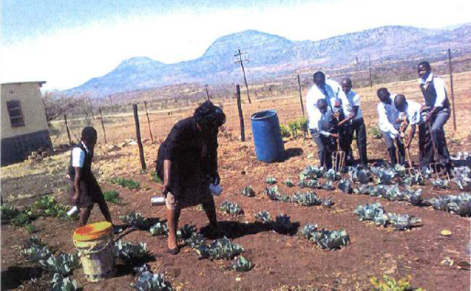 Food for Life in KZN