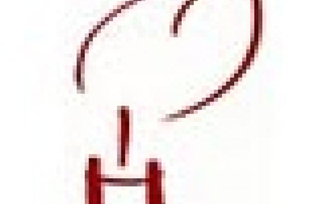 Friedenslichtaktion 2016