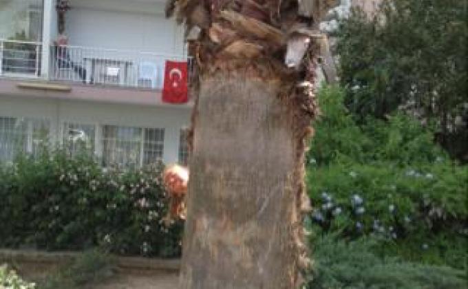 July the 19th, 2014 - What can I do, Today ?