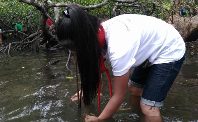Environmental Care