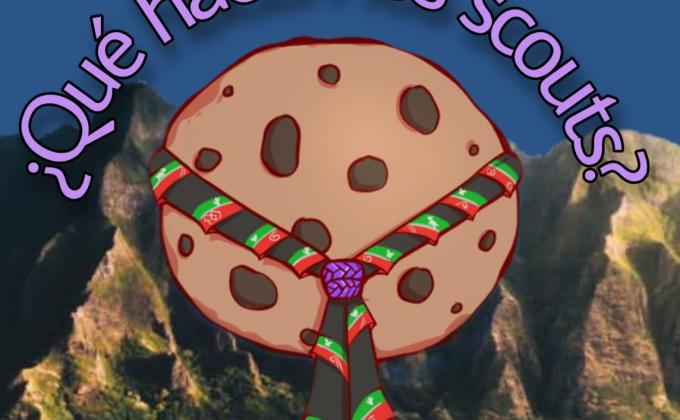 ¿Qué hacen los scouts?