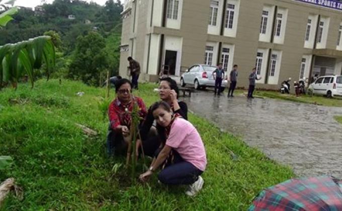 GREEN MIZORAM DAY 11TH JUNE 2015