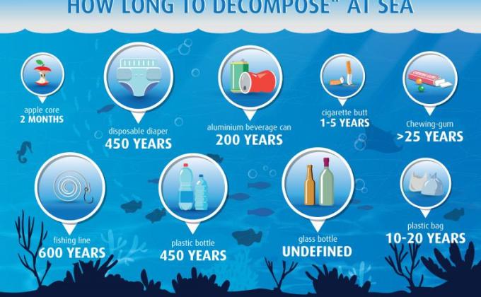 #How long until it is gone?