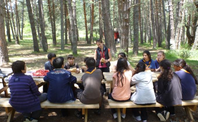 NUTRITION CHALLENGE BADGE  FAO – WAGGGS – WHO – WOSM