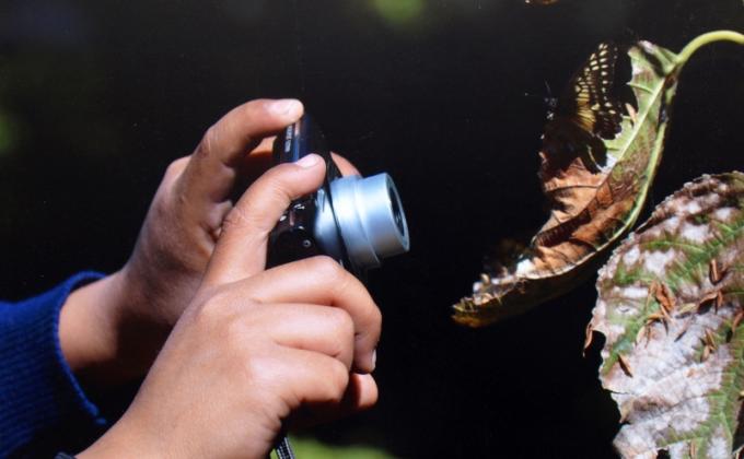 Tomando imagenes, creando conciencia.