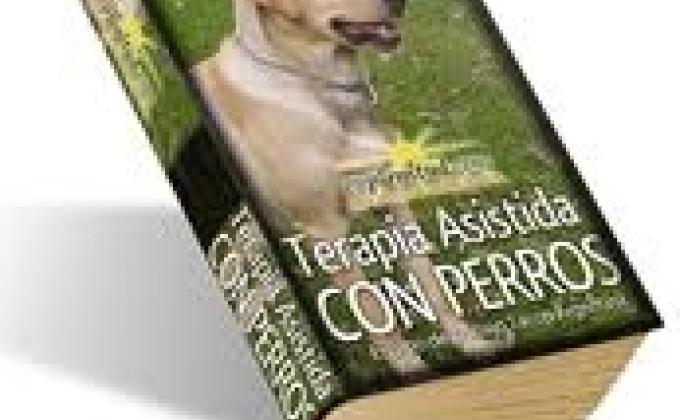 Service paws